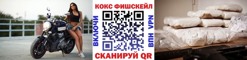 дарнет шоп  Талица  COCAIN Fish Scale 