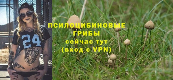 ПСИЛОЦИБИНОВЫЕ ГРИБЫ Армянск