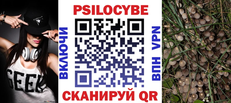 Псилоцибиновые грибы Psilocybine cubensis  Талица 